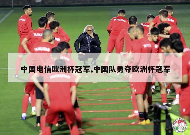 中国电信欧洲杯冠军,中国队勇夺欧洲杯冠军-第1张图片-